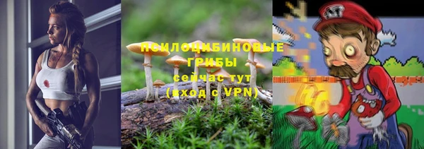 МДПВ Надым